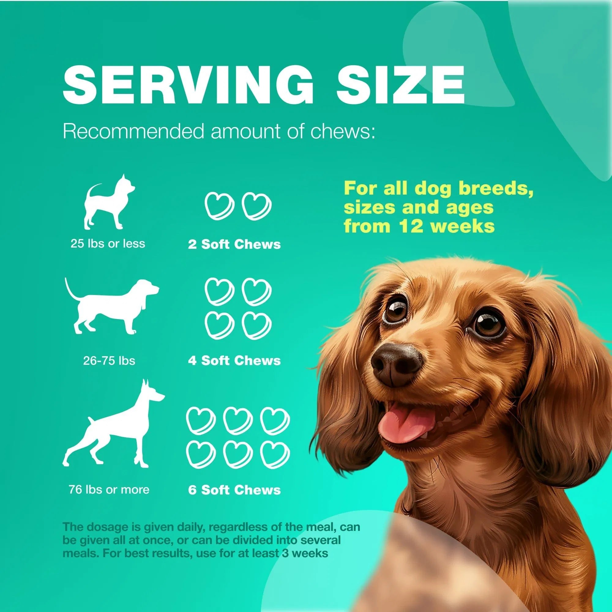 GutPaw – Dog Probiotics
