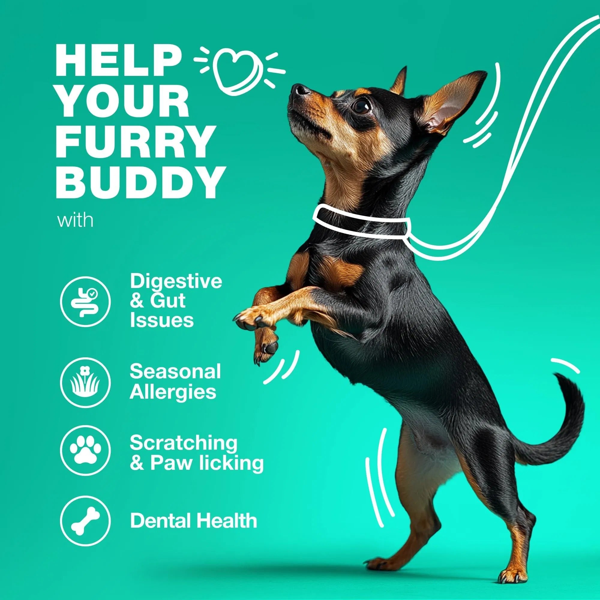 GutPaw – Dog Probiotics