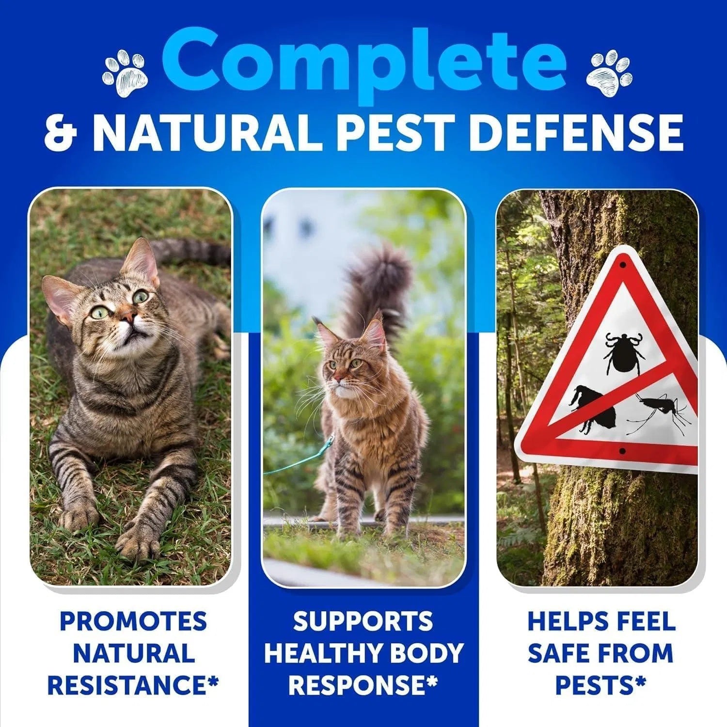 Kittens Chewable Daily Oral Pills